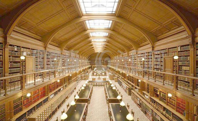 图书馆文化品牌建设：打造校园文化新地标